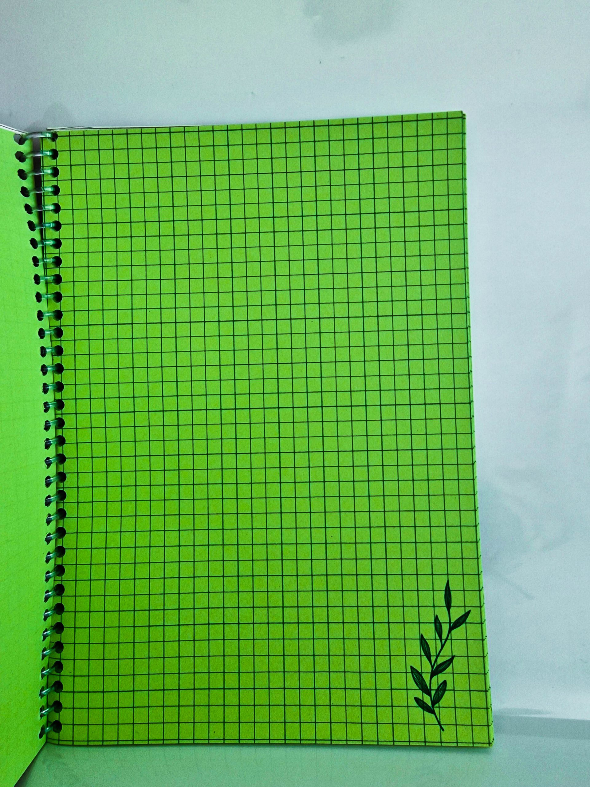 folha interna caderno florzinhas